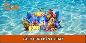 Cách Chơi Bắn Cá Hay Không Ai Chia Sẻ Bởi Đội Ngũ