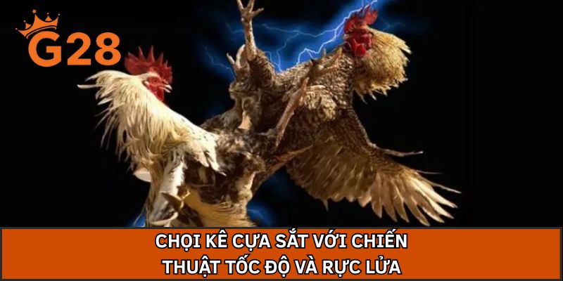 Chọi kê cựa sắt với chiến thuật tốc độ và rực lửa