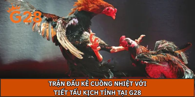 Trận đấu kê cuồng nhiệt với tiết tấu kịch tính tại G28